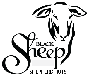 blacksheep blacksheep